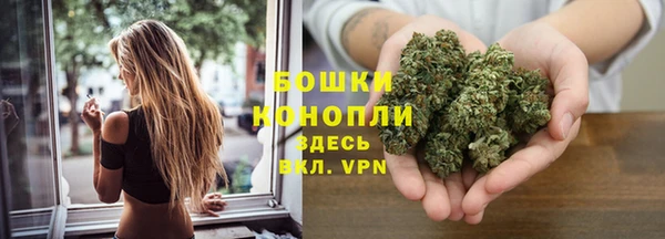 мяу мяу мука Бородино