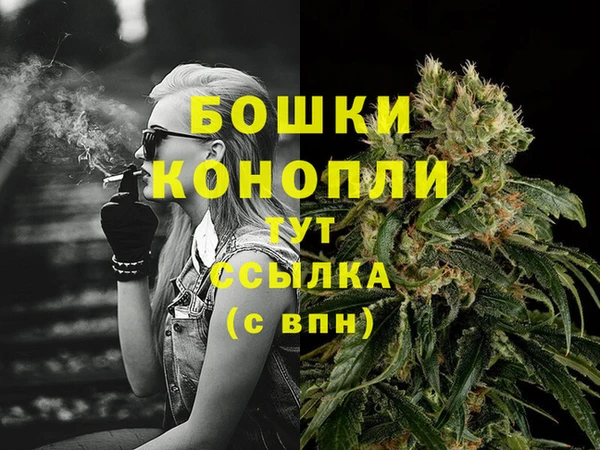 мяу мяу мука Бородино