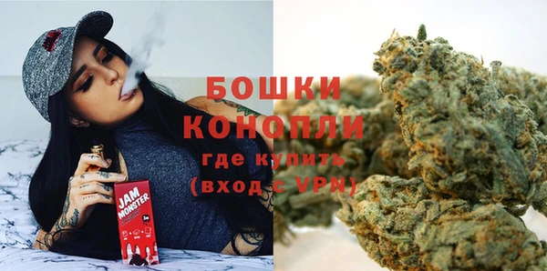 дурь Галич