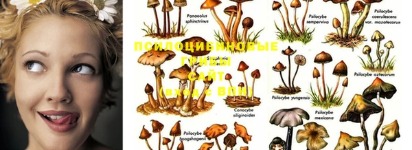 кокс Бронницы